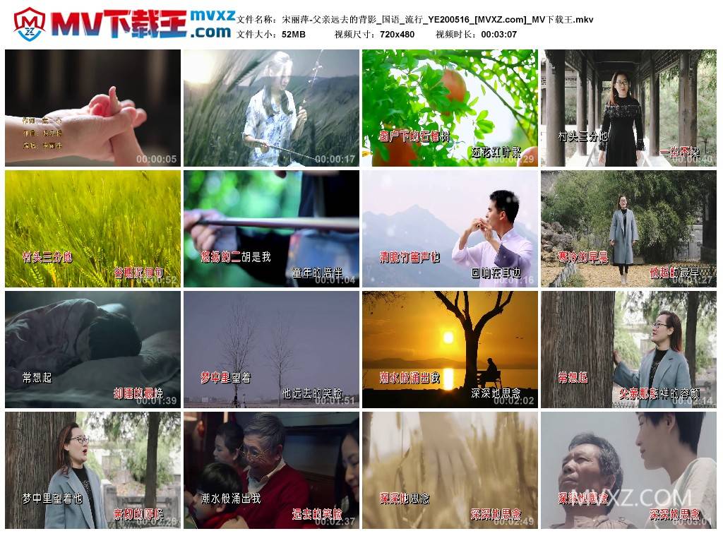 宋丽萍-父亲远去的背影_国语_流行_YE200516